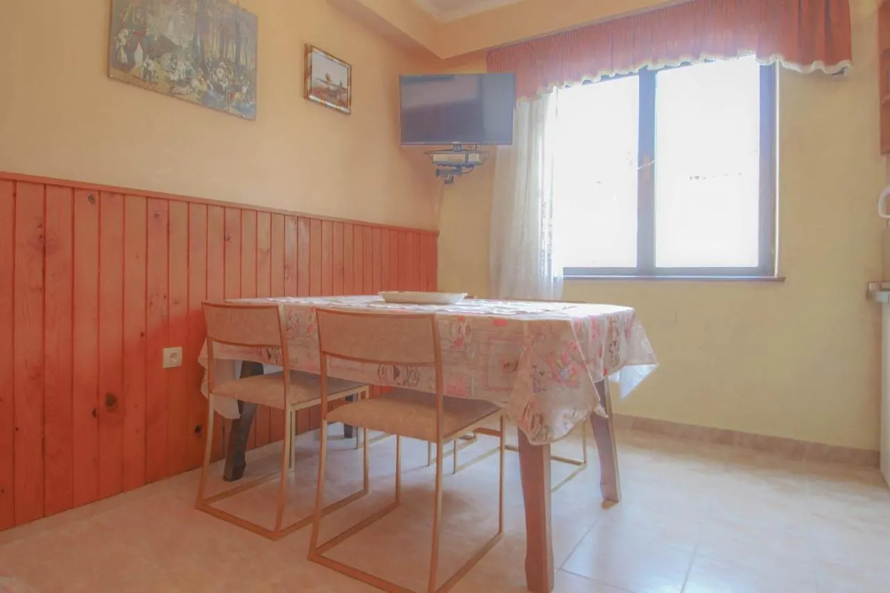 Boris One Apartment Novigrad