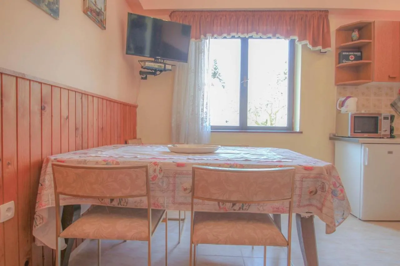 Boris One Apartment Novigrad